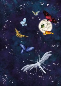 Schlehenfedergeistchen mit Schmetterlingen und Mond Illustration